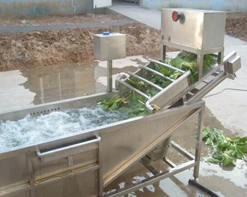蔬菜清洗機(jī)