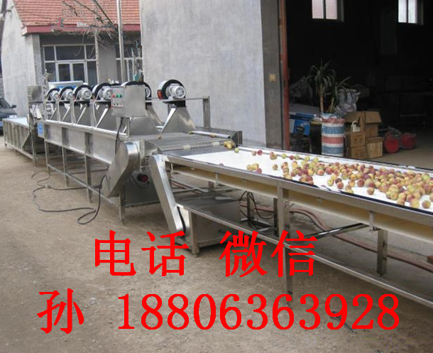 果蔬清洗機(jī)、凈菜生產(chǎn)線